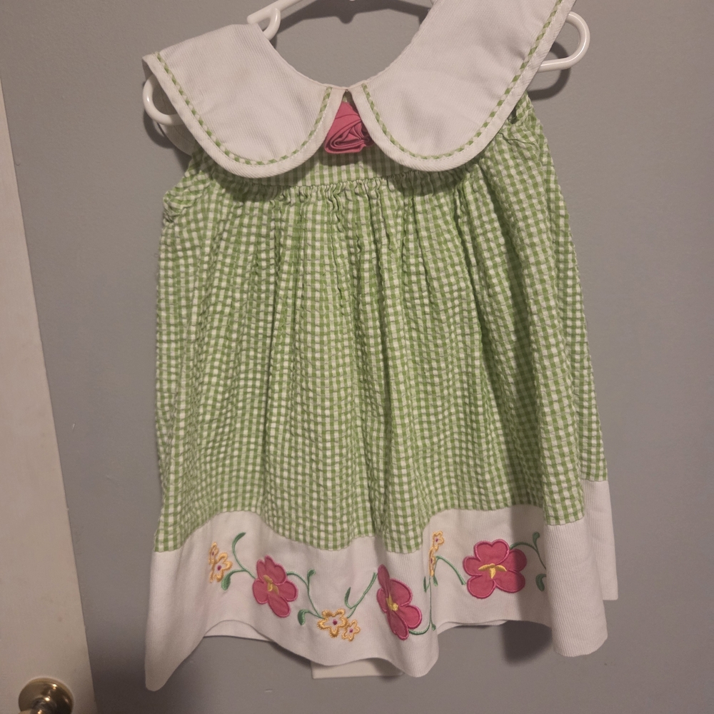 Rare Editions Green and White Gingham Dress with Floral Embroidery Size 2T
